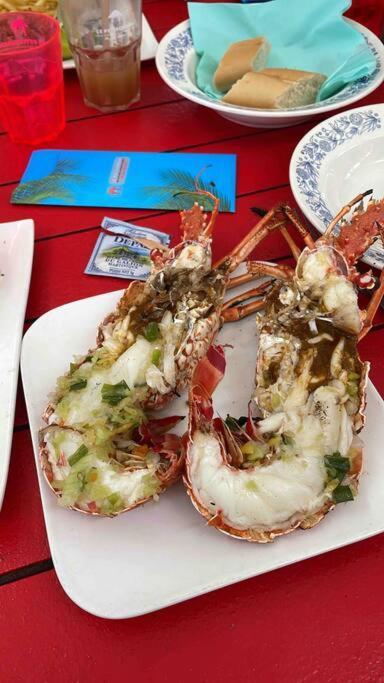 L'Amour A La Plage...Vue Mer Exceptionnelle ! เลส์ทรัวส์-ซีเลต์ ภายนอก รูปภาพ